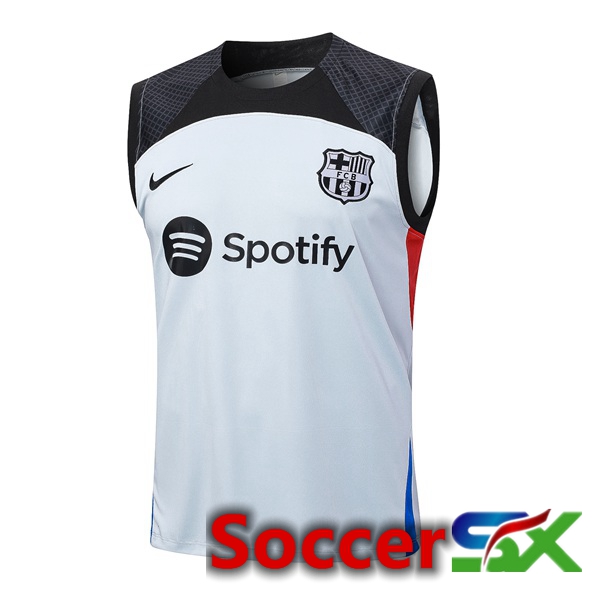 FC Barcelona Soccer Vest Grey 2023/2024
