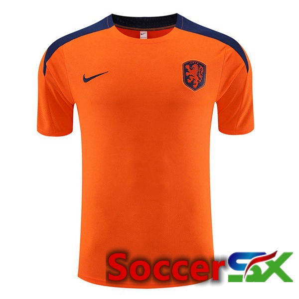 Netherlands Training T Shirt Orange 2023/2024