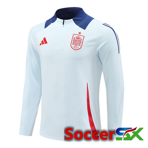 Spain Training Sweatshirt Grey 2024/2025