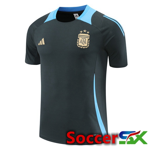 Argentina Training T Shirt Grey 2024/2025