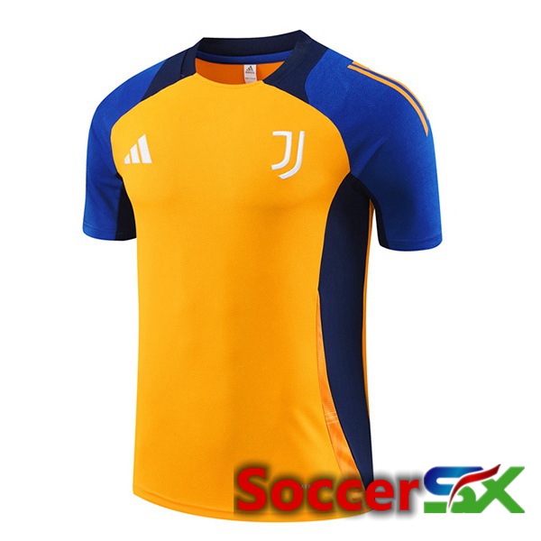 Juventus Training T Shirt Yellow 2024/2025