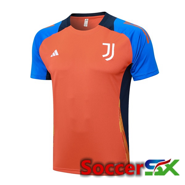 Juventus Training T Shirt Orange 2024/2025