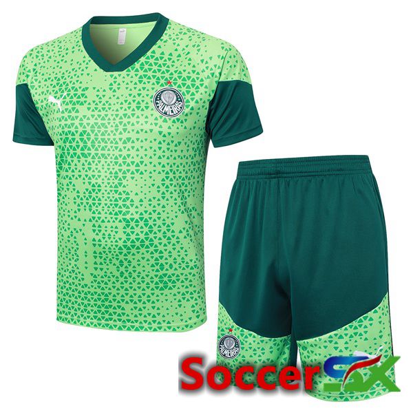 Palmeiras kit Training T Shirt + Shorts Green 2024/2025