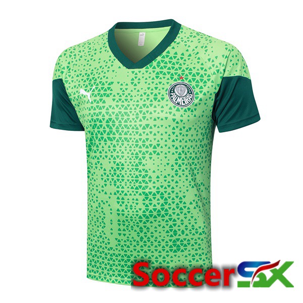 Palmeiras Training T Shirt Green 2024/2025