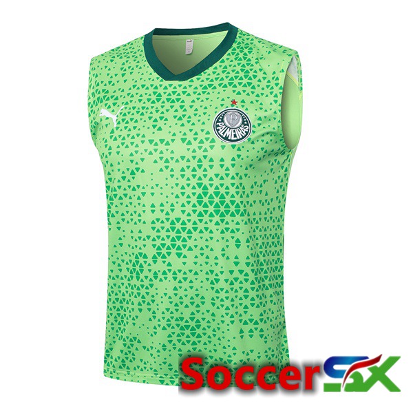 Palmeiras Soccer Vest Green 2024/2025