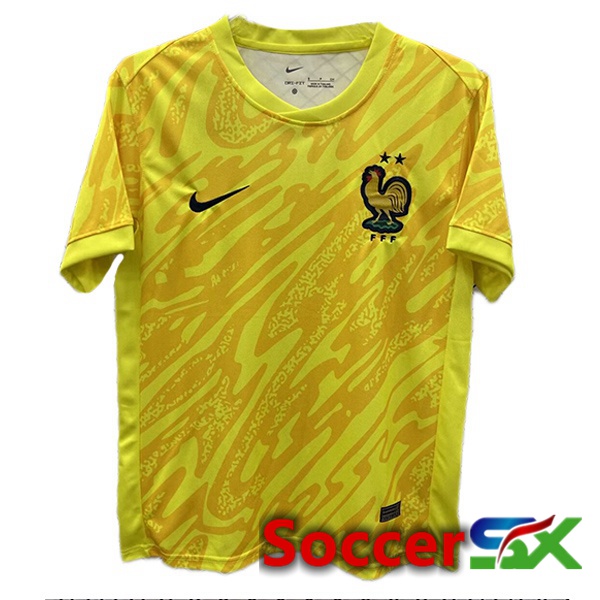 France Goalkeeper Soccer Jersey Yellow 2024/2025