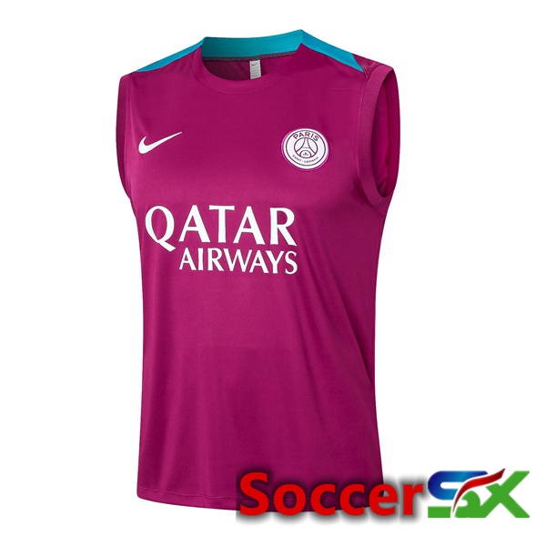 Paris PSG Soccer Vest Purple 2024/2025