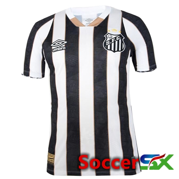 Santos FC Away New Soccer Jersey 2024/2025