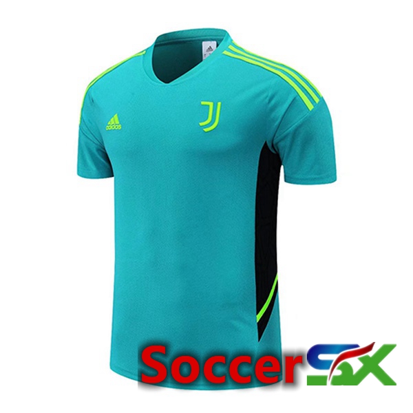 Juventus Training T Shirt Green 2022/2023