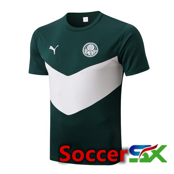 Palmeiras Training T Shirt Green 2022/2023