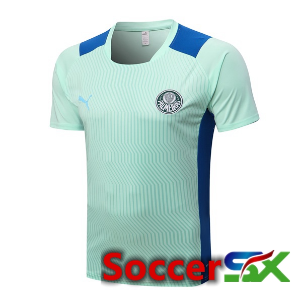 Palmeiras Training T Shirt Green 2022/2023