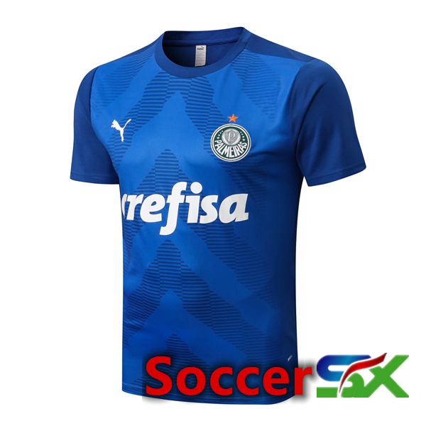 Palmeiras Training T Shirt Blue 2022/2023