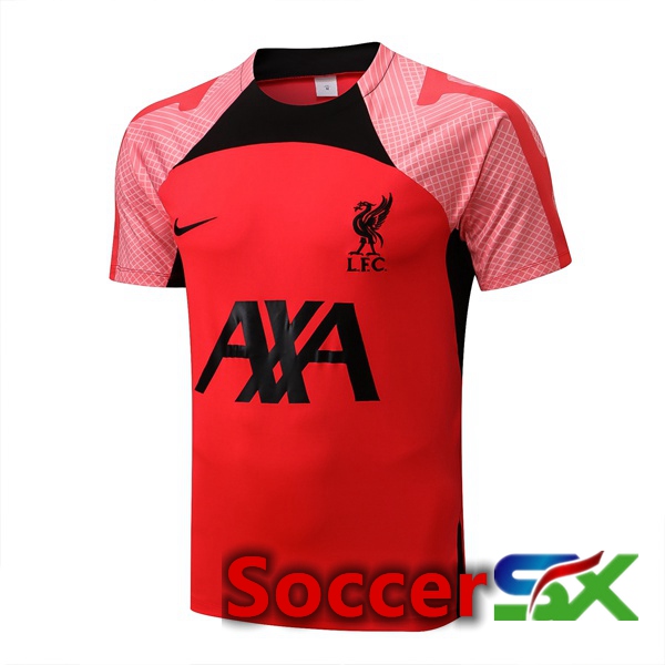 FC Liverpool Training T Shirt Red 2022/2023