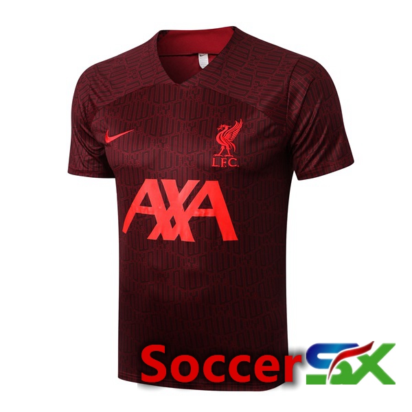 FC Liverpool Training T Shirt Red 2022/2023